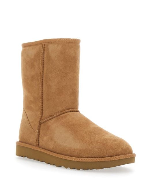 Ugg Brown W Classic Short Ii