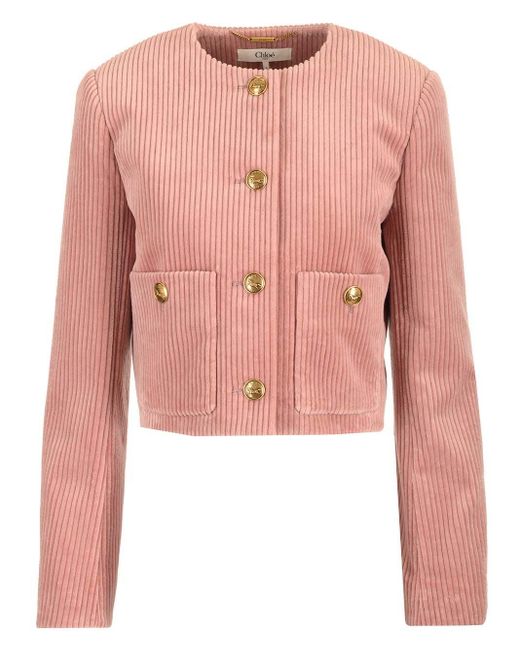 Chloé Pink Cropped Corduroy Jacket Jackets Rose