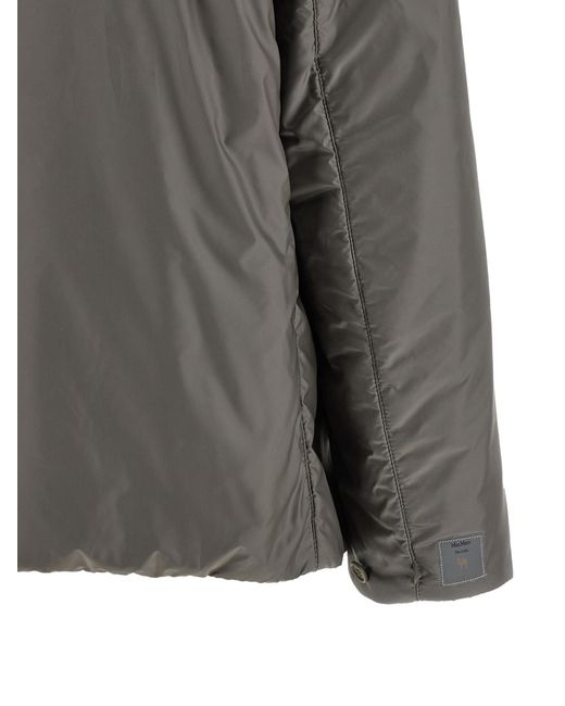 Max Mara Gray Greenh Jacket