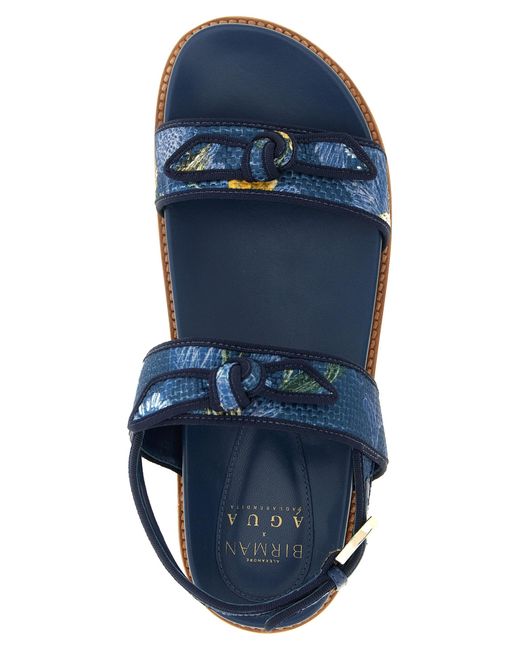 Alexandre Birman Blue A. Birman X Agua 'Grosgrain Raffia Sport' Sandals