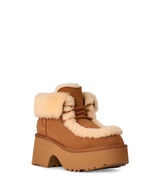 Ugg Brown W Esmee Lace Up Ankle Boots