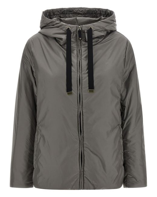 Max Mara Gray Greenh Jacket