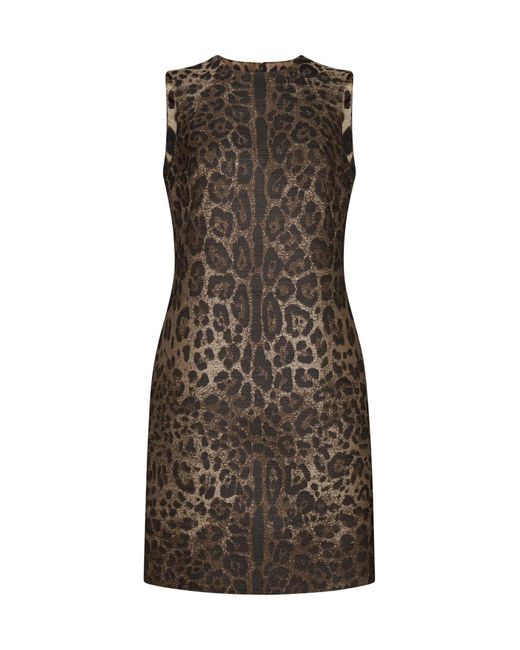 Dolce & Gabbana Brown Dresses