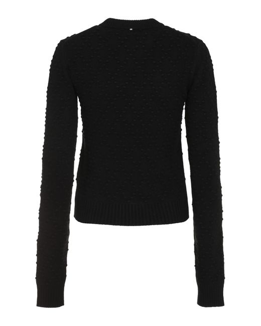 Sportmax Black Salve Wool And Cashmere Sweater