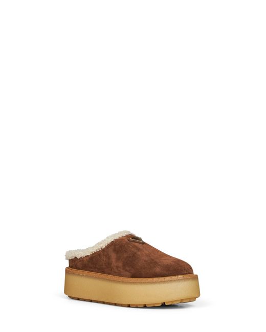 Prada Brown Calzature Cocoa Suede Slippers