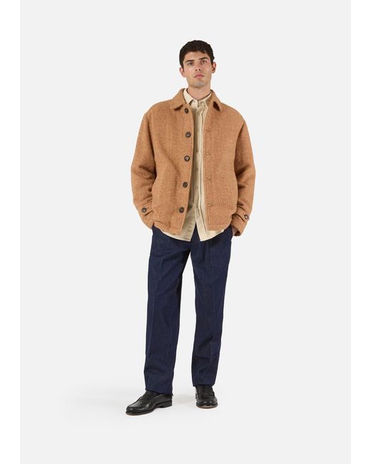 Doppiaa Brown Aarneis Padded Jacket for men