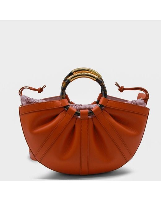 Coccinelle Brown Bags _Le