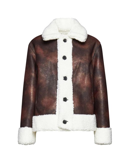 Apparis Brown Coat