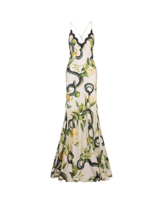 Roberto Cavalli Metallic Ivory Long Petticoat Dress With Lemons Print