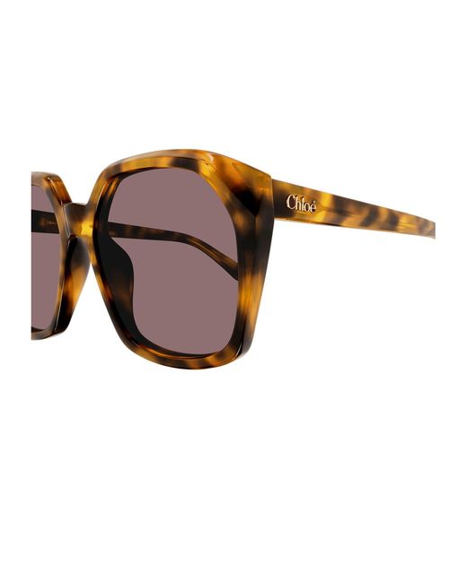 Chloé Brown Ch0280S Linea 004 Havana Acetate Occhiali Da Sole