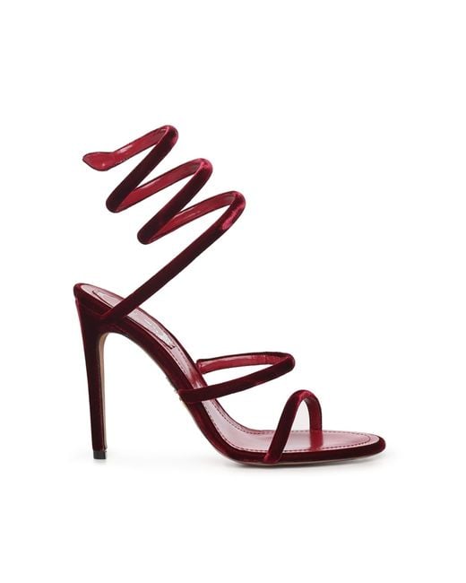 Rene Caovilla Pink Cleo 105 Sandals