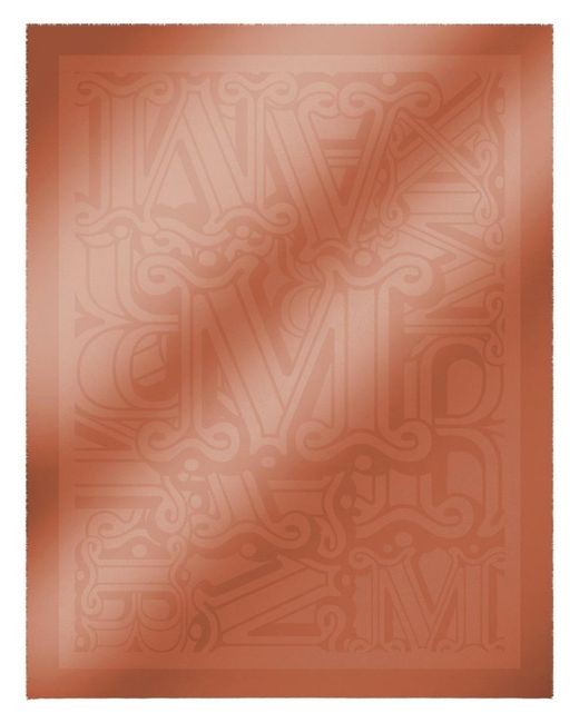 Max Mara Brown Cotton Jacquard Shawl Scarf