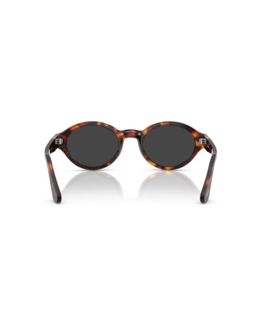 Persol Brown 3378S Sole24/48