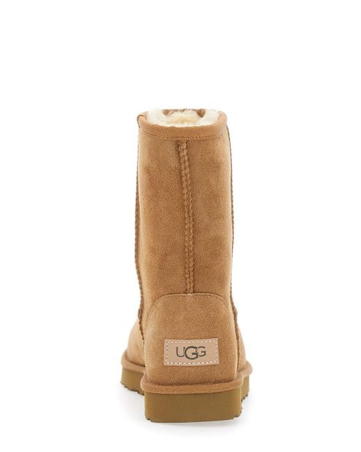 Ugg Brown W Classic Short Ii