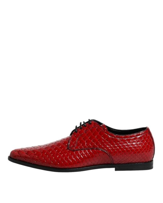 Dolce & Gabbana Red Exotic Leather Lace Up Dress Derby Shoes Python for men