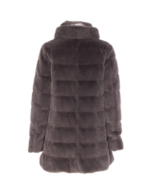 Herno Brown Coats