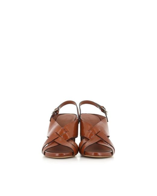 Roberto Del Carlo Brown Sandal 11921