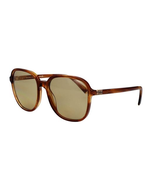 Miu Miu Brown Acetate Sunglasses