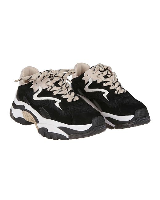 Ash addict sales black