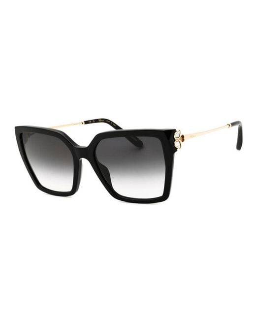 Chopard Black Sunglasses Cat Eye Full Rim, Shiny Frame And Gradient Lens Sch371V0700