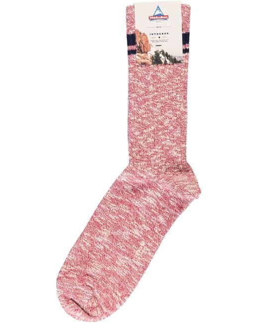 Holubar Pink Cotton Socks for men