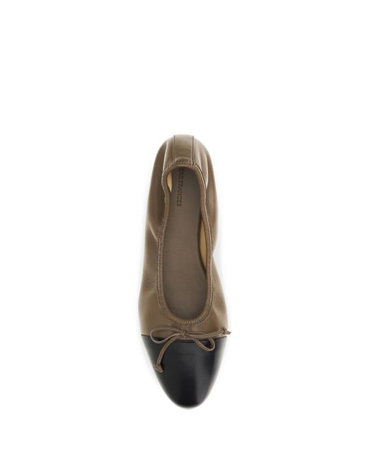 Dear Frances Natural Ballerina Shoes Gala Suede Calf Leather