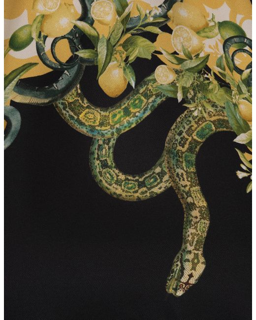 Roberto Cavalli Black Top With Snake Print