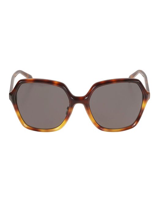 Celine Butterfly Classic Sunglasses in Brown | Lyst