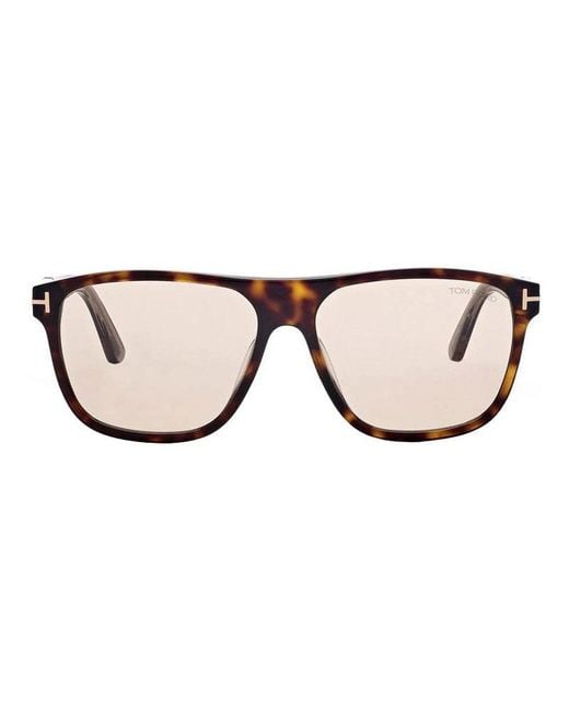 Tom Ford Brown Frame And Lens Sunglasses for men