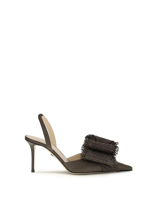 Mach & Mach Multicolor Le Cadeau Pumps