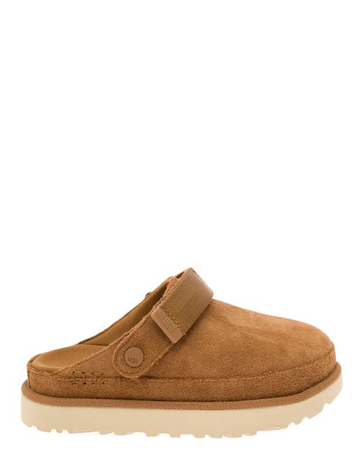 UGG W Goldenstar Clog in Brown | Lyst