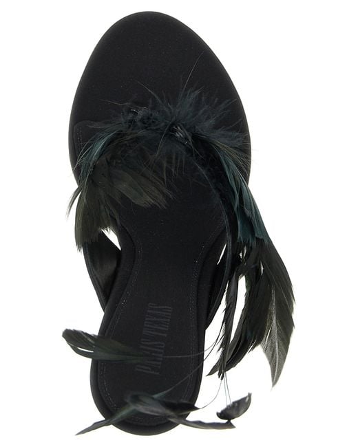 Paris Texas Black 'Lidia Feather Thong' Mules