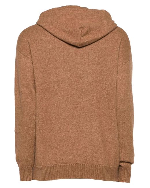 Camel hot sale cashmere hoodie