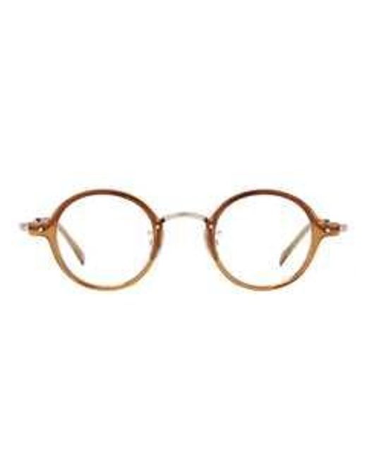 Yellows Plus Brown 1Guw4Oz0A Glasses