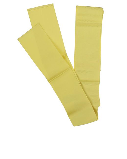 Sara Roka Yellow Belts