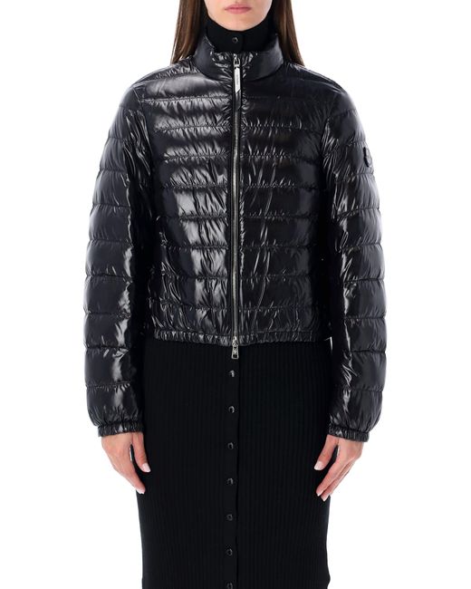 Moncler Genius Women's Black Moncler X Edward Enninful Knut Short Glossy Down Jacket