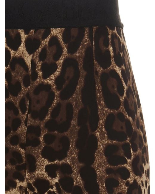 Dolce & Gabbana Black Animal Print Leggings