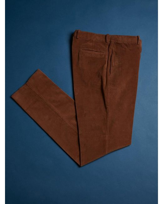 Doppiaa Blue Aamedeus for men