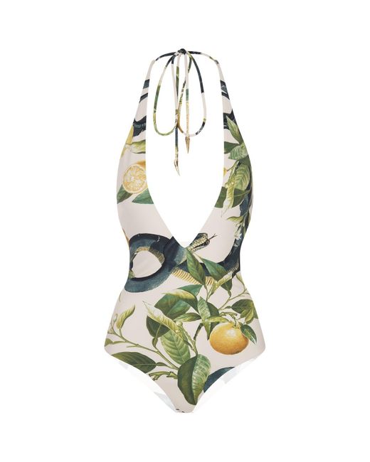 Roberto Cavalli Metallic Ivory Bodysuit With Lemons Print