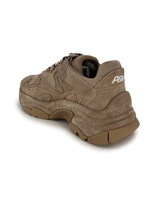Ash Brown Addict