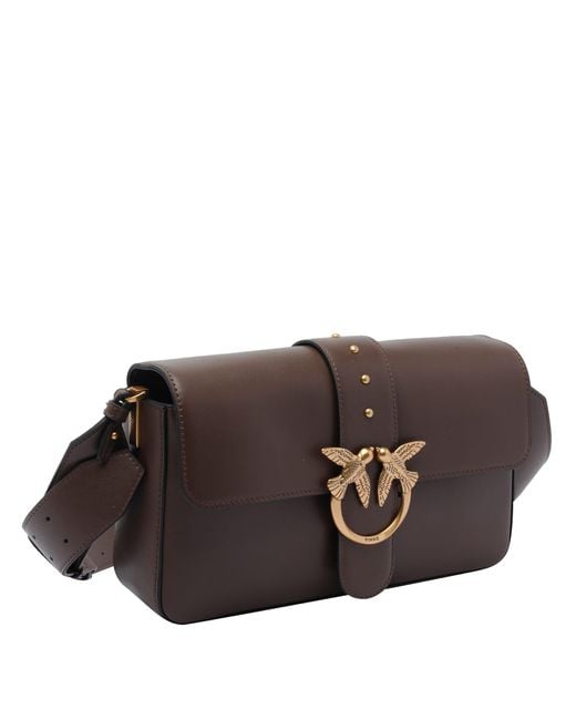 Pinko Brown Bags