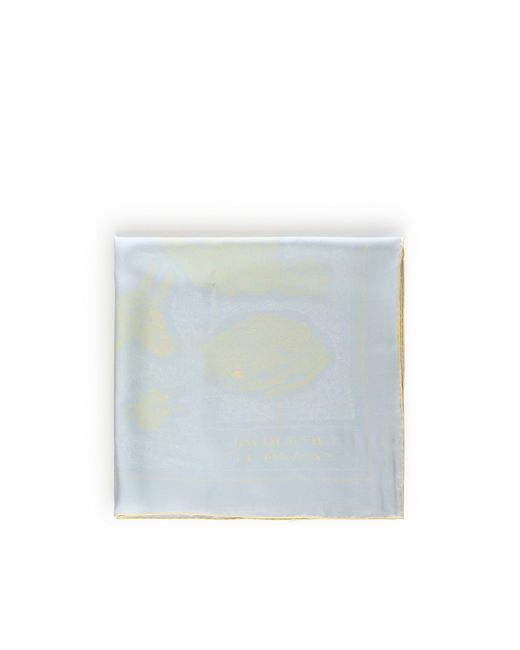 Jacquemus Blue Scarfs Silk for men