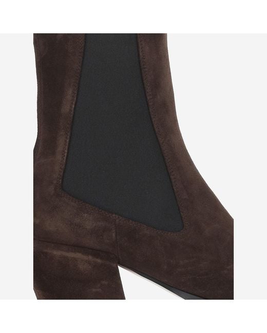 Paris Texas Brown Ankle Boots Bettina 50 Calf Suede (Bos Taurus) Leather