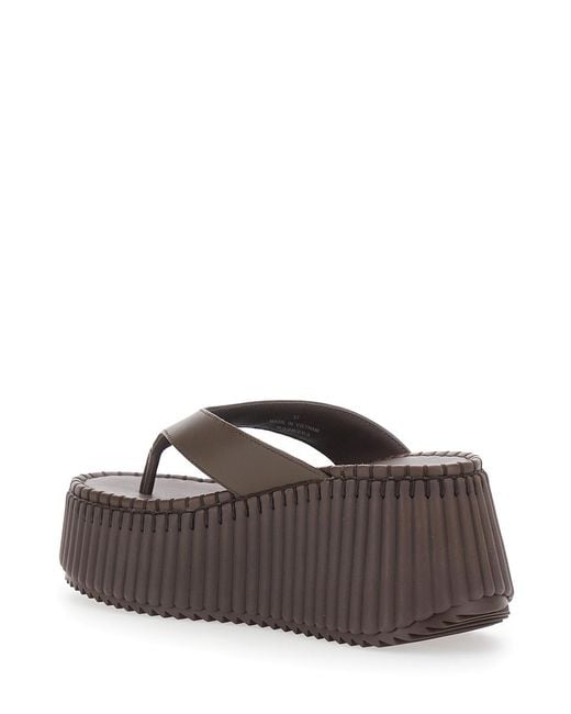 Chloé Brown 10X