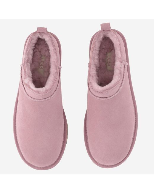 Ugg Pink Ankle Boots Classic Micro Suede