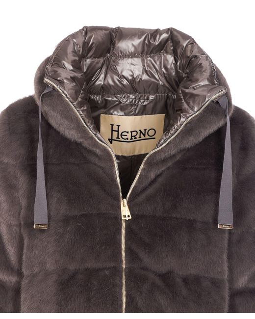 Herno Brown Coats