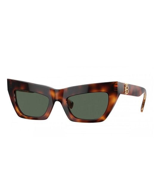 Burberry Brown Frame And Lens Sunglasses