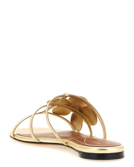 Zimmermann Metallic Orchid Sandals