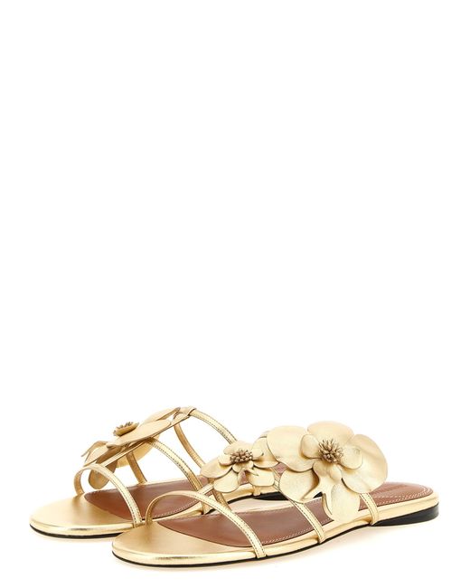 Zimmermann Metallic Orchid Sandals