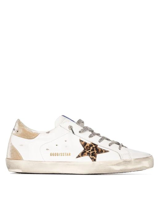 Golden Goose Deluxe Brand Woman White Super-star Sneakers With Leopard Star And Spoiler In Golden Fabric